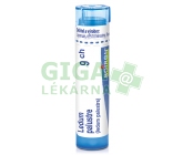 Ledum Palustre CH9 gra.4g