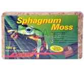 Lucky Reptile Sphagnum Moss (rašeliník) 100g (5 l)