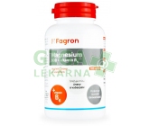 Obrázek Magnesium 500 s vit.B6 100 tablet Fagron