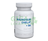 MAGNESIUM 375mg 60 kapslí