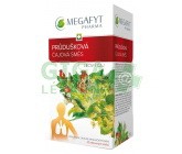 Megafyt Průdušková čajová směs por.spc.20x1.5g