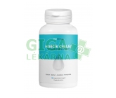 Hořčík B6 Chelát 100 mg cps.90 MOVit