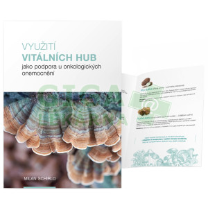 Obrázek Mycomedica Brožura - Využití vitálních hub jako podpora u onkologických onemocnění
