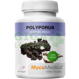 MycoMedica Polyporus PRO 90 kapslí