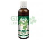 Naděje P17 tin. z pupenů Javor babyka 50ml