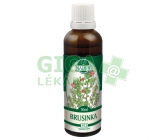 Naděje P53 tin. z pupenů Brusinka 50ml