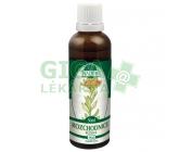 Naděje P60 tin. z pupenů Rozchodnice 50ml