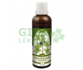 Naděje T6 Tin. Eleuterokok - Čertův kořen 50ml