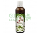 Naděje T7 Tin. byl. Echinacea purpurea 50ml
