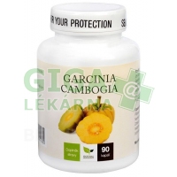 Natural Medicaments Garcinia Cambogia cps.90