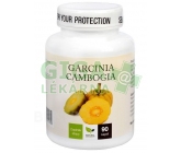 Natural Medicaments Garcinia Cambogia cps.90