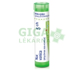 Nux Vomica CH5 gra.4g