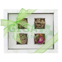 Oxalis Adikia bílá - set kvetoucích čajů