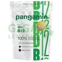 Pangamin B12 200 tablet