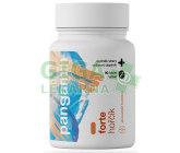 Pangamin forte hořčík tbl.90