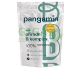Pangamin přírodní B komplex tbl.120