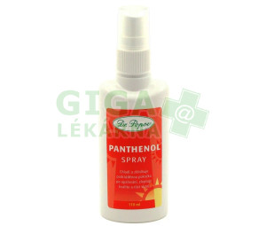 Panthenol spray 110ml Dr.Popov