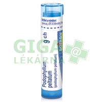 Podophyllum Peltatum CH9 gra.4g