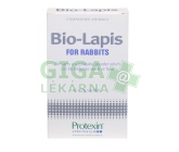 Protexin Bio Lapis for rabbits plv 6x2g