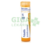 Pulsatilla CH15 gra.4g
