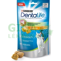 Purina DentaLife Cat chicken 40 g