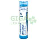 Rhododendron Chrysanthum 9CH gra.4g