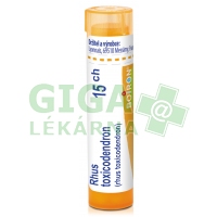 Rhus Toxicodendron CH15 gra.4g