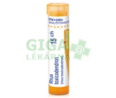 Rhus Toxicodendron CH15 gra.4g