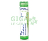 Rhus Toxicodendron CH5 gra.4g