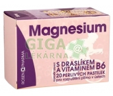 Obrázek Rosen Magnesium 300mg perlivé pastilky 20ks
