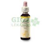 Rožec (Cerato) 20ml - Bachovy esence 5