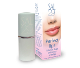 SAL 29 Perfect lips 4g
