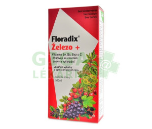 SALUS Floradix 500ml
