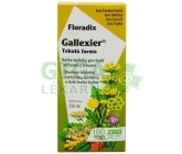 SALUS Floradix Gallexier 250ml
