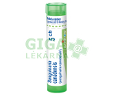 Sanguinaria Canadensis 5CH gra.4g