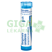 Sanguinaria Canadensis 9CH gra.4g