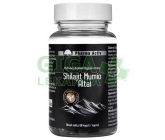 Shilajit Mumio Altai 60 kapslí
