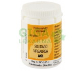 AKH Solidago Virgaurea por.tbl.60