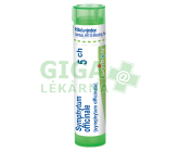 Symphytum Officinale 5CH gra.4g