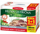 TEREZIA Hlíva ústřičná+lactob.cps.60+60 AKCE 1+1