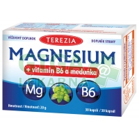 TEREZIA Magnesium+vitamin B6 a meduňka 30 kapslí