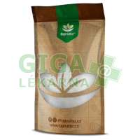 Topnatur Low Carb Xylitol 500g