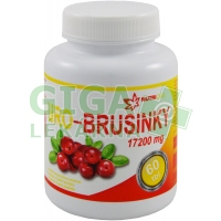 URO - Brusinky 60 tablet