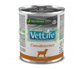 Vet Life Natural Canine konz. Convalescence 300g