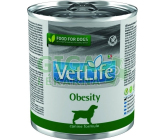 Vet Life Natural Dog konz. Obesity 300g