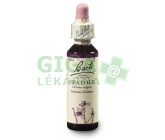 Vřes obecný (Heather) 20ml - Bachovy esence 14