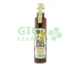 Zázvor sirup BIO 380g