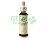Zimolez kozí list (Honeysuckle) 20ml - Bachovy esence 16
